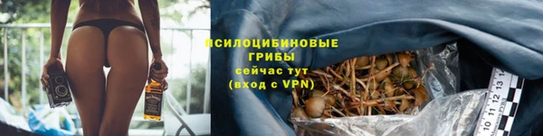jwh Ессентукская