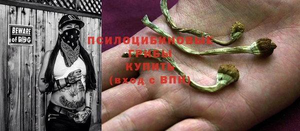 2c-b Козловка