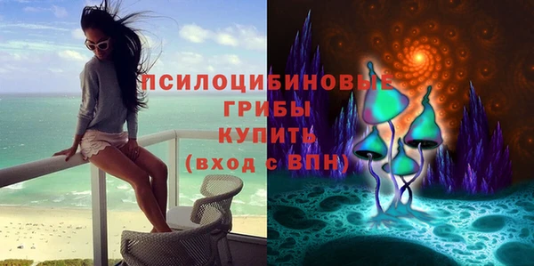 2c-b Козловка