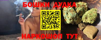 PSILOCYBIN Гусиноозёрск