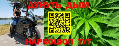 стаф Гусев