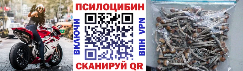 Галлюциногенные грибы GOLDEN TEACHER  что такое наркотик  mega вход  Курган 