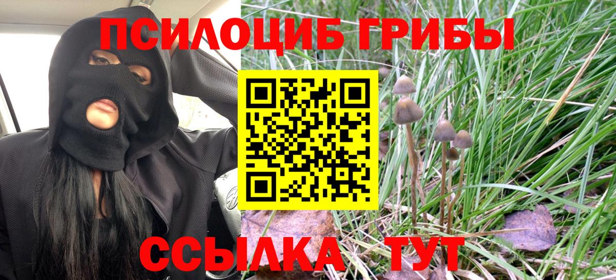 Галлюциногенные грибы мицелий Курган
