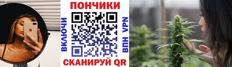 Шишки марихуана планчик Курган